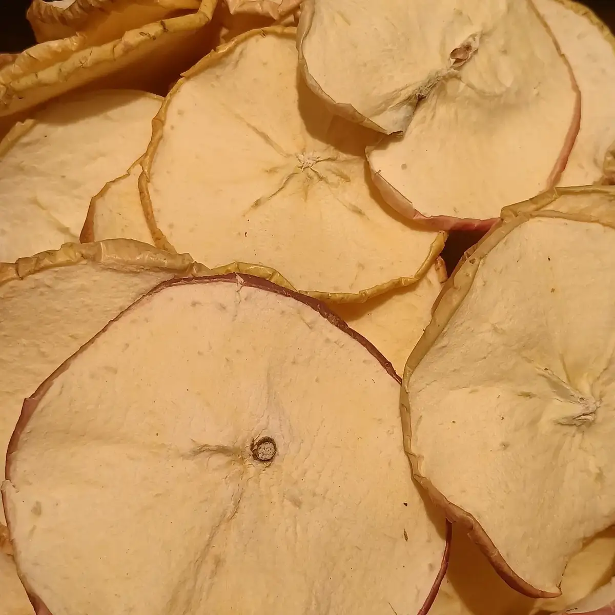 Freeze-dried apple chips