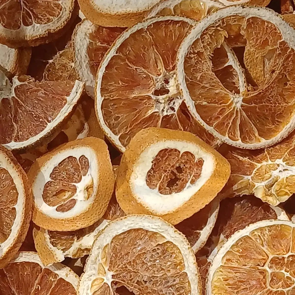 Freeze-dried orange slices